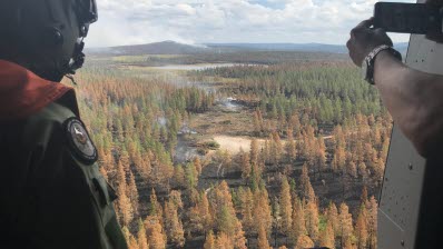 Nedslagsplatsen vid skogsvägen inspekteras efter bombfällning över skogsbranden på Älvdalens skjutfält. 