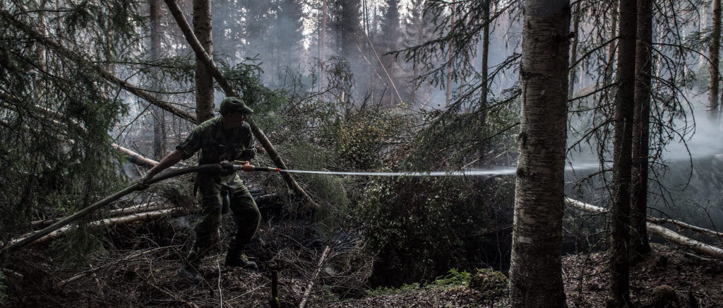 Hemvärnssoldat släcker brand norr om Kårböle. När som helst kan den pyrande branden flamma upp och soldaterna håller noggrant utkik efter glöd och öppna lågor för att kunna bekämpa dessa omgående.

Runt byn Kårböle i norra Hälsingland rasar tre stora skogsbränder. Byn är sedan en vecka tillbaka evakuerad och släckningsarbetet pågår febrilt mot elden med samlade förmågor från olika myndigheter, frivilliga samt tillrest räddningstjänst från flera europeiska grannländer. Brandområdena är indelade i tre olika sektorer där man försöker isolera elden inom så kallade begränsningslinjer. Förutom att hindra vidare spridning så är det särskilt viktigt att hålla elden borta från orten Kårböle samt viktig infrastruktur.