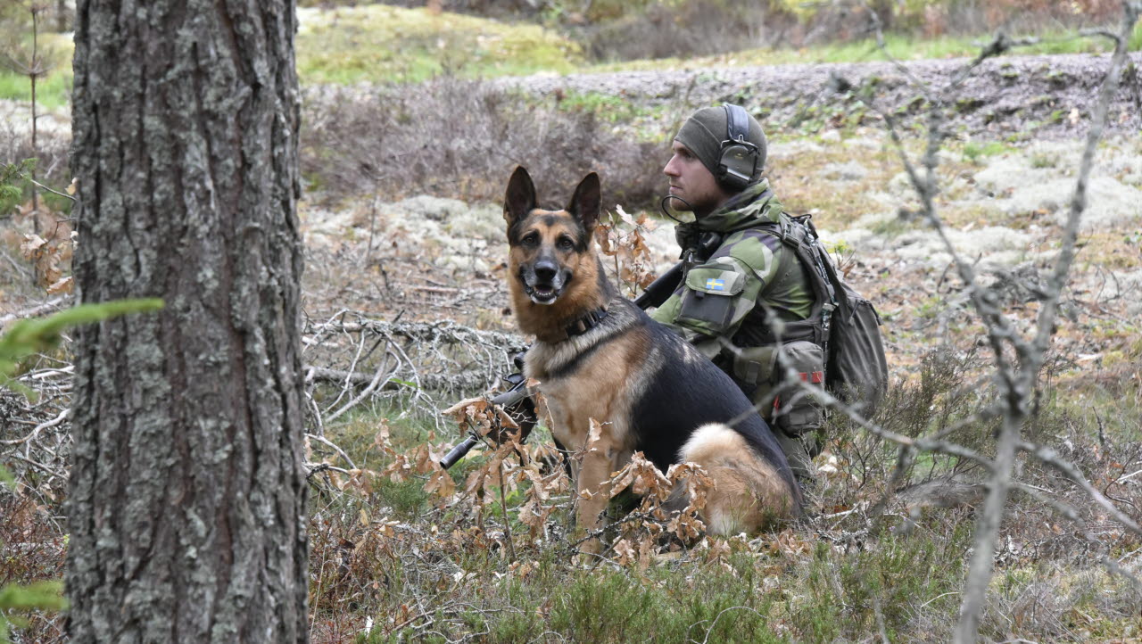 Robin och Jaxon skyddar en helikopterbas i de småländska skogarna under övning Poseidon. 