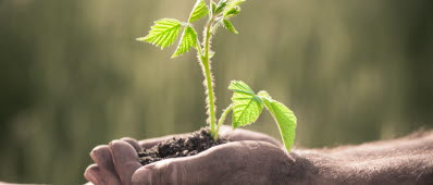 Child and senior man holding green plant in hands. Ecology concept