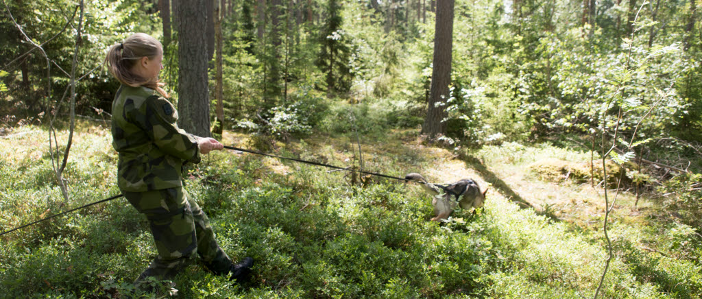Dressör Sara Fröse Köhler med Försvarsmaktens My som spårar.