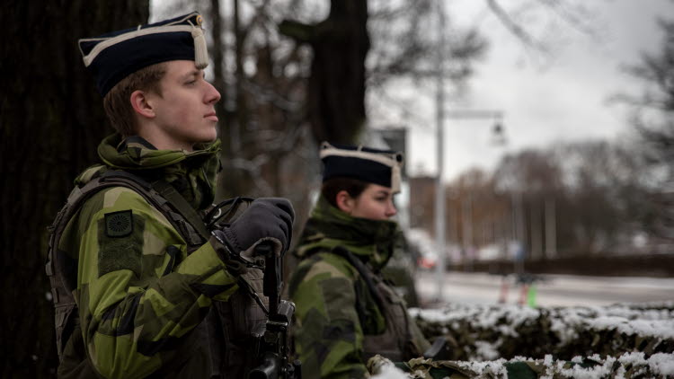 Livgardets livbataljon övar skydd och bevakning vid Högkvarteret och Kavallerikasern. 