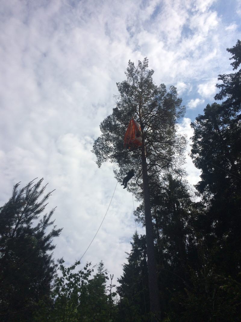 Flygvapenövning 2018. PR-moment. Undsättning. Flygbasjägare. Helikopter 14.