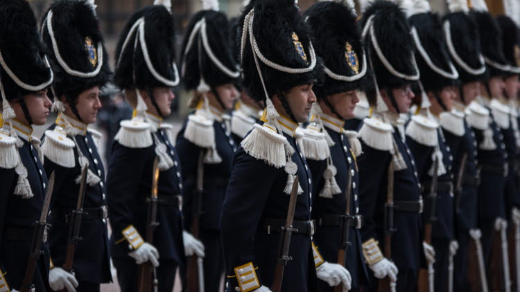 Audiens vid Stockholms slott. Soldater från livkompaniet tar emot statsbesök inne på borggården på Stockholms slott.