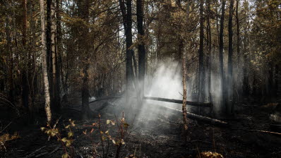 Skogsbrandens härjningar vid norra begränsningslinjen.

Samlade resurser från olika myndigheter hjälps åt att bekämpa skogsbranden vid Älvdalens skjutfält. Försvarsmakten bidrar med flera resurser men i huvudsak med personal ur hemvärnet och helikopterflotiljen.