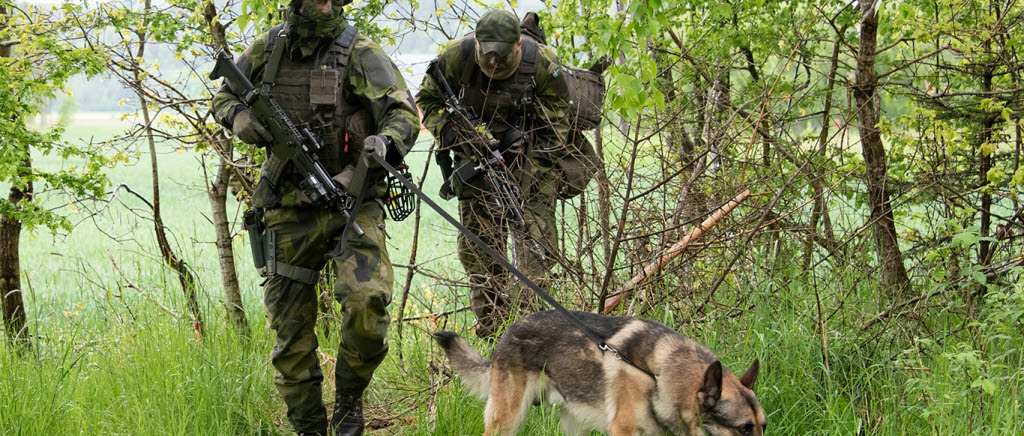 I Luftförsvarsövning 22 är ljudet av flyg och helikoptrar det man kanske mest lägger märke till. Flygbassäksoldaten ska du inte märka och då är det lätt att glömma hur viktigt skyddet av basen faktiskt är. På bilden ser du Helikopterflottiljens flygbassäksoldat och hundförare Eric tillsammans med sin stridspartner Oban under övningen.