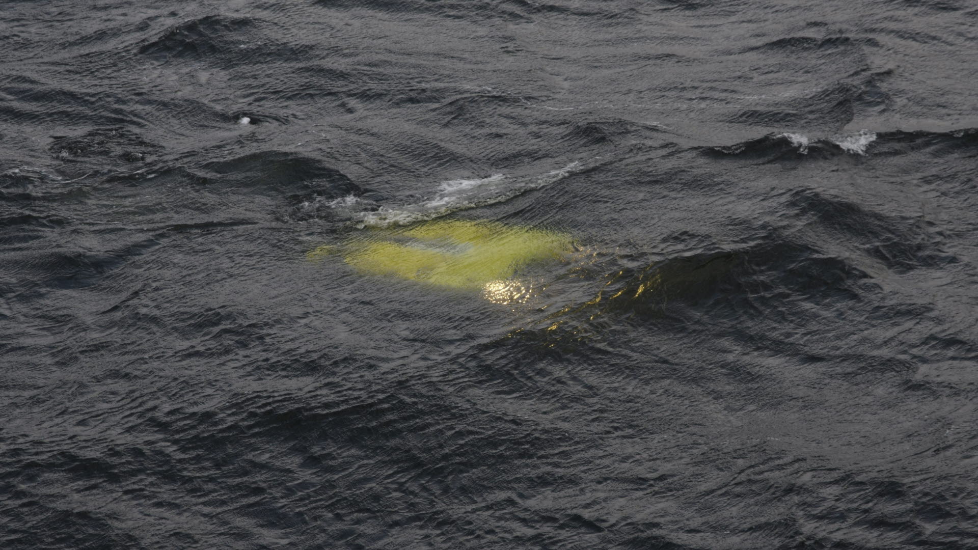 Yetuk ayollar fotosuratlar va porno filmlar Rus MFF seks video