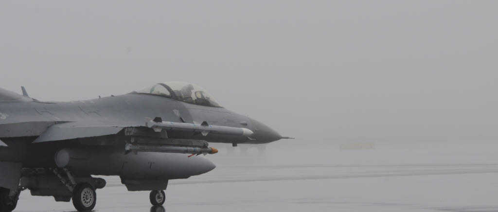 ACE 2015. F-16 Fighting Falcon. US Air Force. 