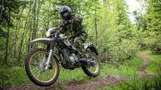Motorcykel i skogen