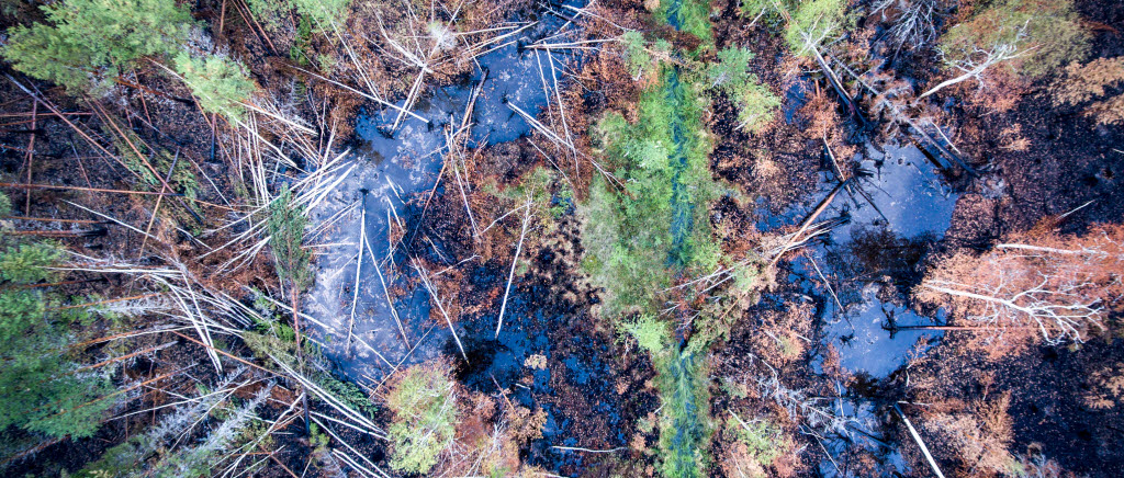 Gävleborgsbataljonen stödjer i släckningsarbetet vid skogsbranden i Ljusdals kommun.