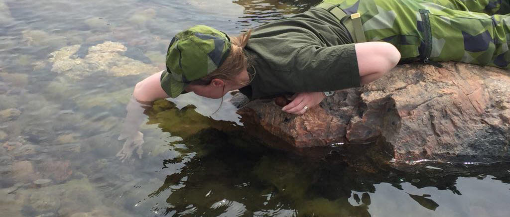 I kursen ingår även ytletning - visuell sökning efter ammunition.