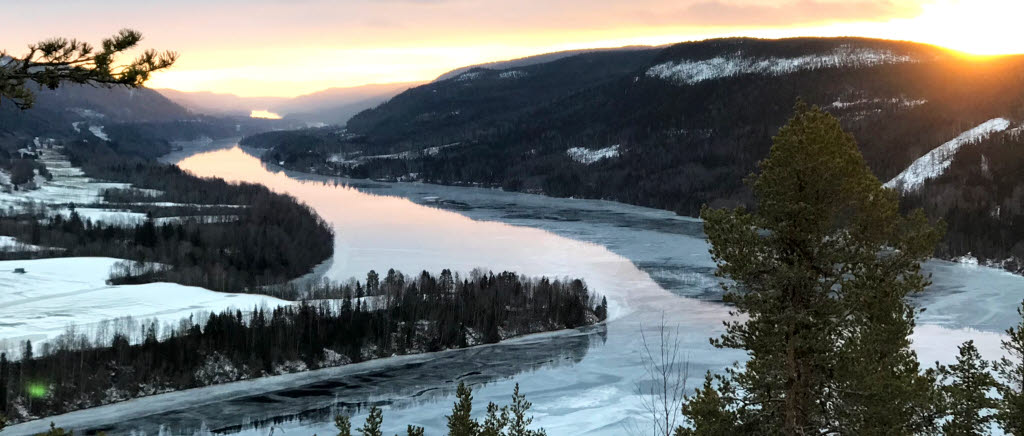 Officerare på Markstridsskolans nivåhöjande utbildning Taktisk kurs armén genomförde en fältövning norrr om Sundsvall utmed Indalsälven.