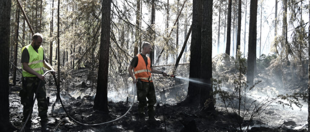 släckning i skog