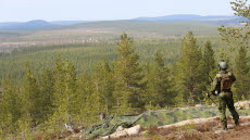 En viktig plats under övningen - observationsplats på Rovajärvi skjut- och övningsområde. 