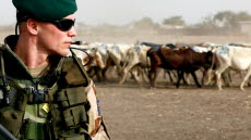 20080316 N'Djamena, Tchad&#xA;&#xA;Det svenska EU-förbandet TD01 väcker stort medialt intresse. Under söndagen följde franska TV24 och den belgiska försvarsmaktens informationsavdelning en grupp under en fotpatrull i närheten av Camp Europa i Tchads huvudstad N'Djamena.&#xA;&#xA;Foto: Marcus Olsson/Combat Camera