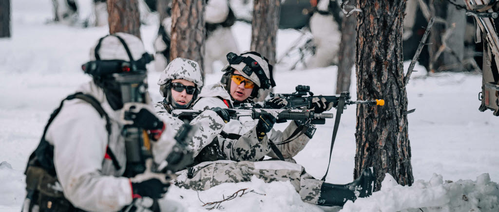 FISE. Finland och Sverige ingår i en finskledd division under operationen. 
