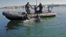 Under Marinens vårövning 2023 övade röjdykare på att söka av och säkra en hamn.