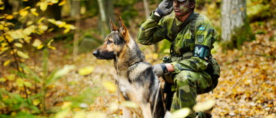KUNGSÄNGEN 20111015
Försvarsmaktshundens främsta uppgift är att med hjälp av sina välutvecklade hörsel- och luktsinnen upptäcka hot och faror i ett tidigt skede. I försvarsmakten tjänstgör ett flertal olika typer av hundar. På bilden har en patrullhund precis markerat på ljud och hundföraren repeterar tecknet vidare.
Foto: Nicklas Gustafsson/Combat Camera