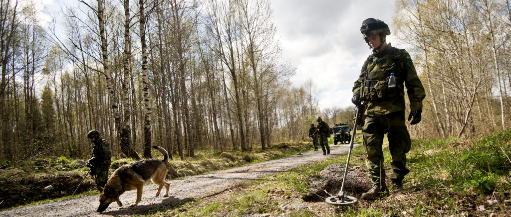 Sökning med hund och minsökare.