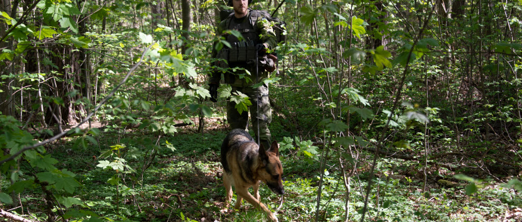 Både hund och förare måste vara i toppform för att mentalt orka med att spåra under en hel dag.