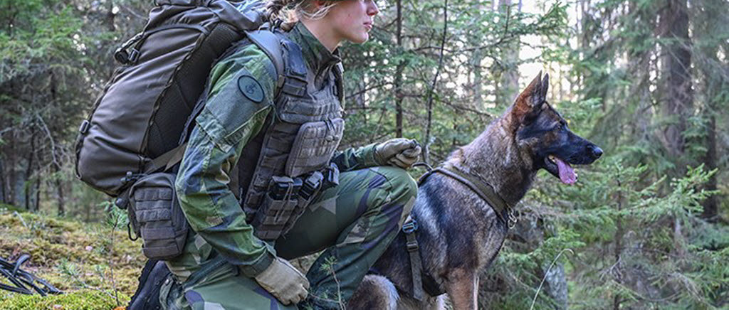 Hundförare och hund i skogen