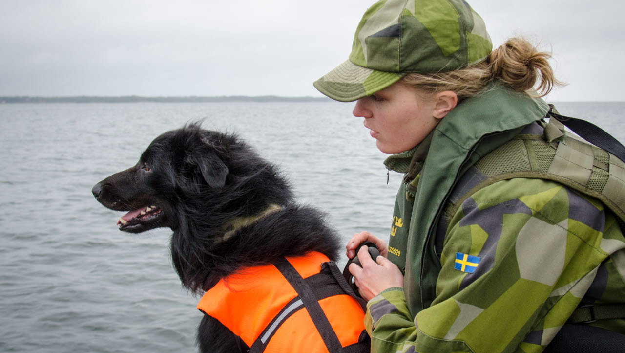 De var 700 soldater som övade under Rikshemvärnschefens insatsövning, som var en del av Aurora 17. Svenska, danska och norska hemvärnssoldater samövade på för många ett nytt och spännande sätt. Alla delar övades i en komplex övningsvecka med hundekipage, stridsbåtar och tagande av öar i Karlskrona skärgård. 

hundförare kvinna