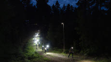Försvarsmaktens orienteringsvecka 2025 med tävlingar i orienteringsskytte, orientering och lagstafett.

Start Budkavle 2025 (lagstafett).