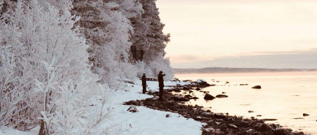 Fältövning i nedre Norrland med Artilleriregementet. 