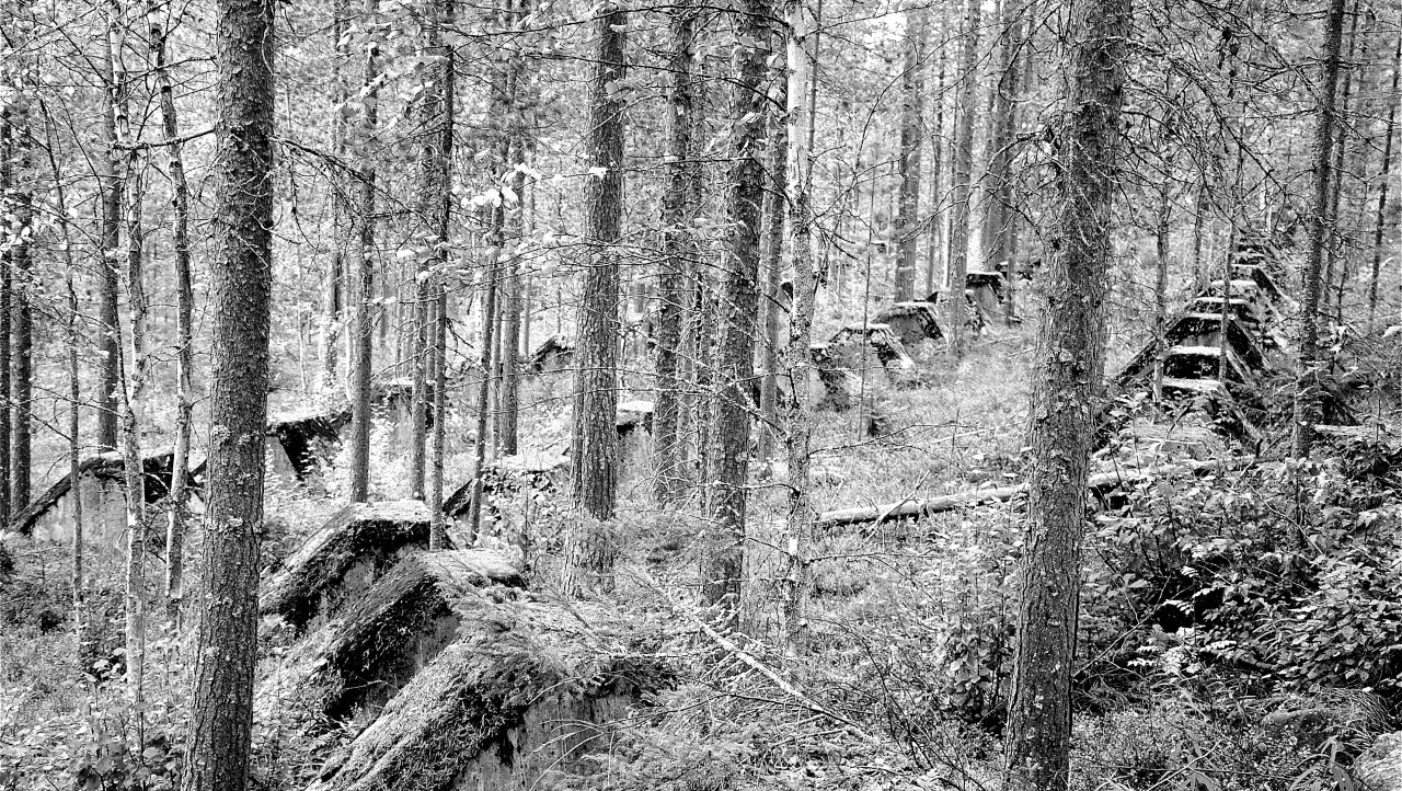 Kalixlinjen av idag. Bilden är en del av forsvarsmakten.se/varhistoria.