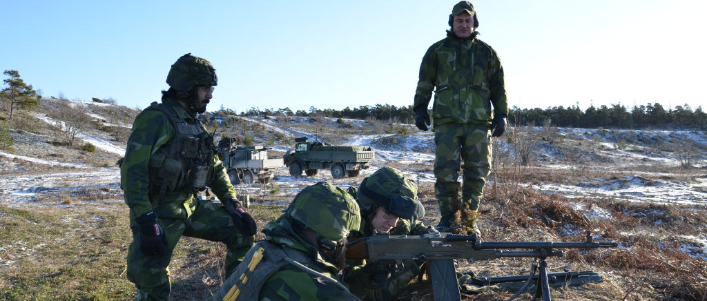 Livgardet på Gotland
Jamal Skoog
