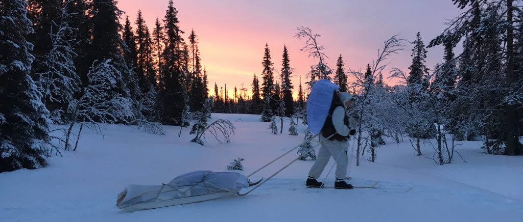 Vinterutbildning  Jokkmokk av flygbasjägaraspiranter vid 25:e flygbasjägarkompaniet. Utbildningen genomförs under veckorna 9 och 10.