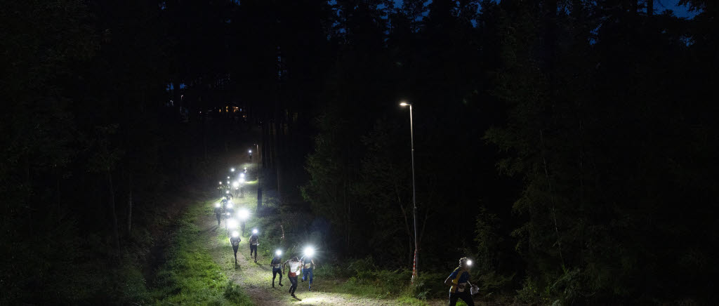 Försvarsmaktens orienteringsvecka 2025 med tävlingar i orienteringsskytte, orientering och lagstafett.

Start Budkavle 2025 (lagstafett).