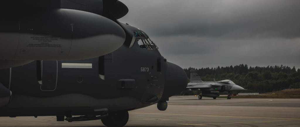 Amerikanskt förband besökte F 17