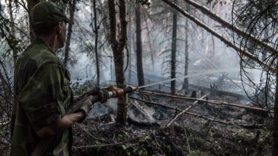 Hemvärnssoldat släcker brand norr om Kårböle. När som helst kan den pyrande branden flamma upp och soldaterna håller noggrant utkik efter glöd och öppna lågor för att kunna bekämpa dessa omgående.

Runt byn Kårböle i norra Hälsingland rasar tre stora skogsbränder. Byn är sedan en vecka tillbaka evakuerad och släckningsarbetet pågår febrilt mot elden med samlade förmågor från olika myndigheter, frivilliga samt tillrest räddningstjänst från flera europeiska grannländer. Brandområdena är indelade i tre olika sektorer där man försöker isolera elden inom så kallade begränsningslinjer. Förutom att hindra vidare spridning så är det särskilt viktigt att hålla elden borta från orten Kårböle samt viktig infrastruktur.