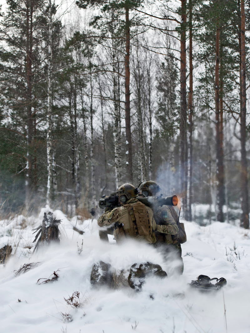 Försvarsmaktens specialförband (FM SF) består av Specialförbandsledningen (SFL), Särskilda operationsgruppen (SOG) samt särskilt avdelade, tränade och utrustade stödjande enheter.
Specialförbanden ska i första hand användas för specialoperationer som komplexa fritagnings- och undsättningsoperationer samt till
kvalificerade underrättelse- och säkerhetsoperationer.