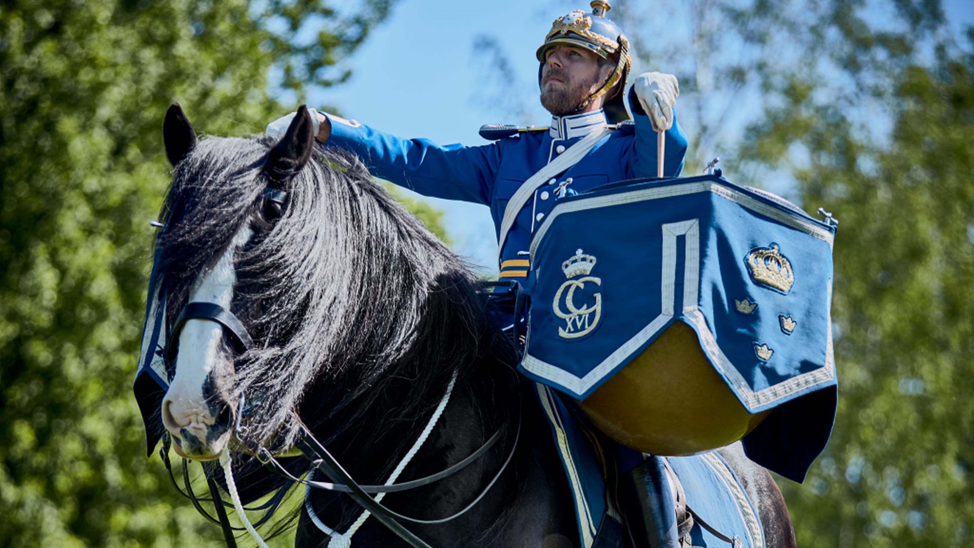Pukhästarna går precis efter stavföraren i vaktparaden. De är svarta shirehästar och är av världens största hästras. De styrs med fottyglar för att pukisten ska ha händerna fria till spelet.