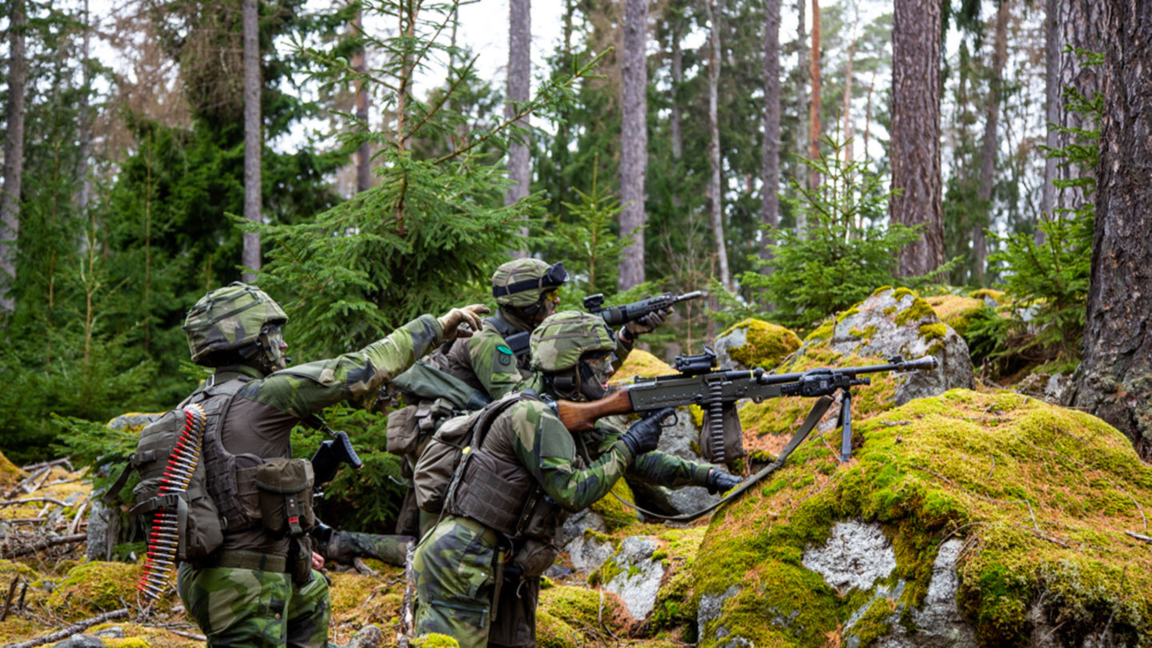 Livgardesbrigaden IB 1 KSP grupp.