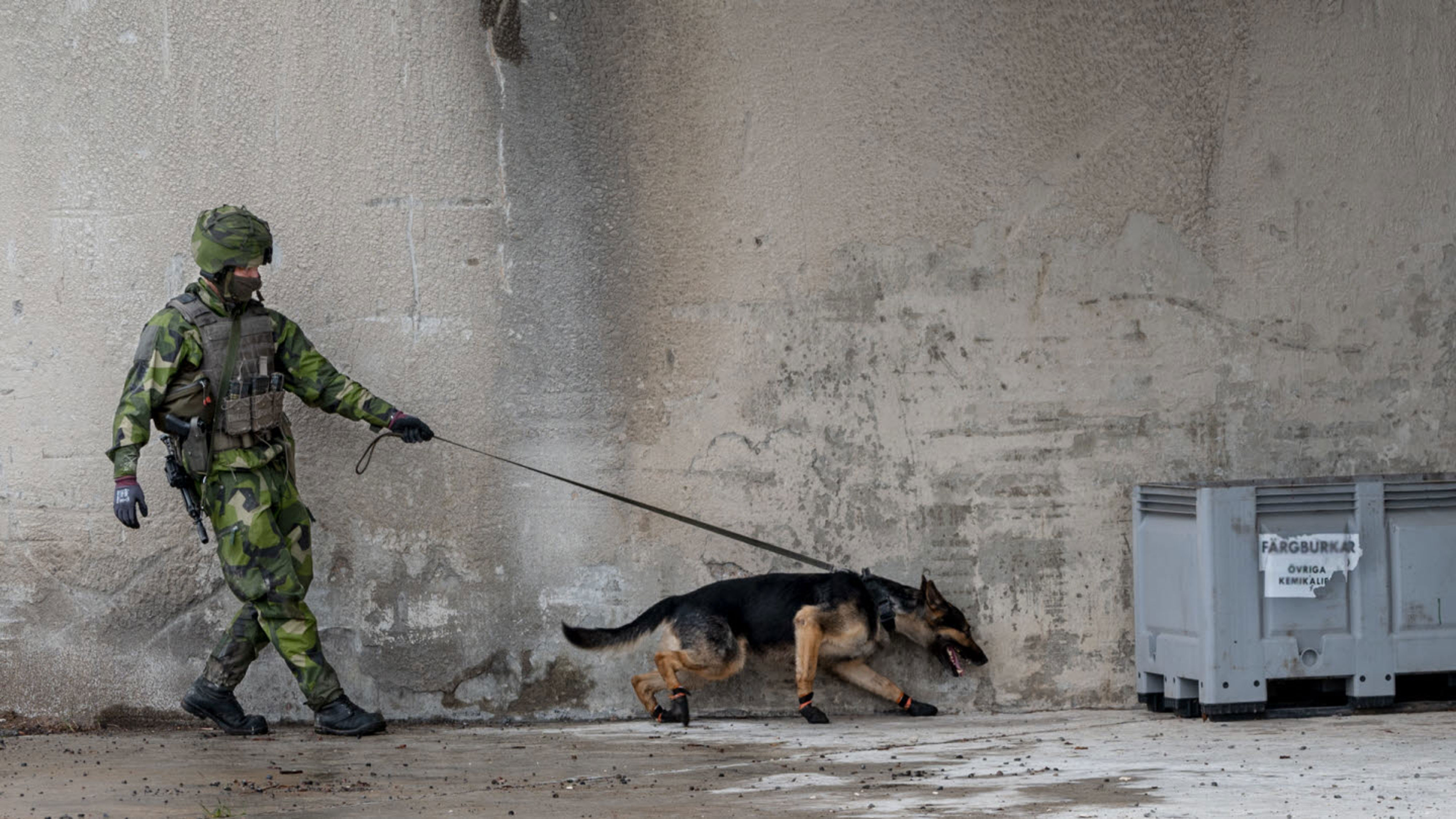 Hundförare från 3:e säkerhetsbataljonen.