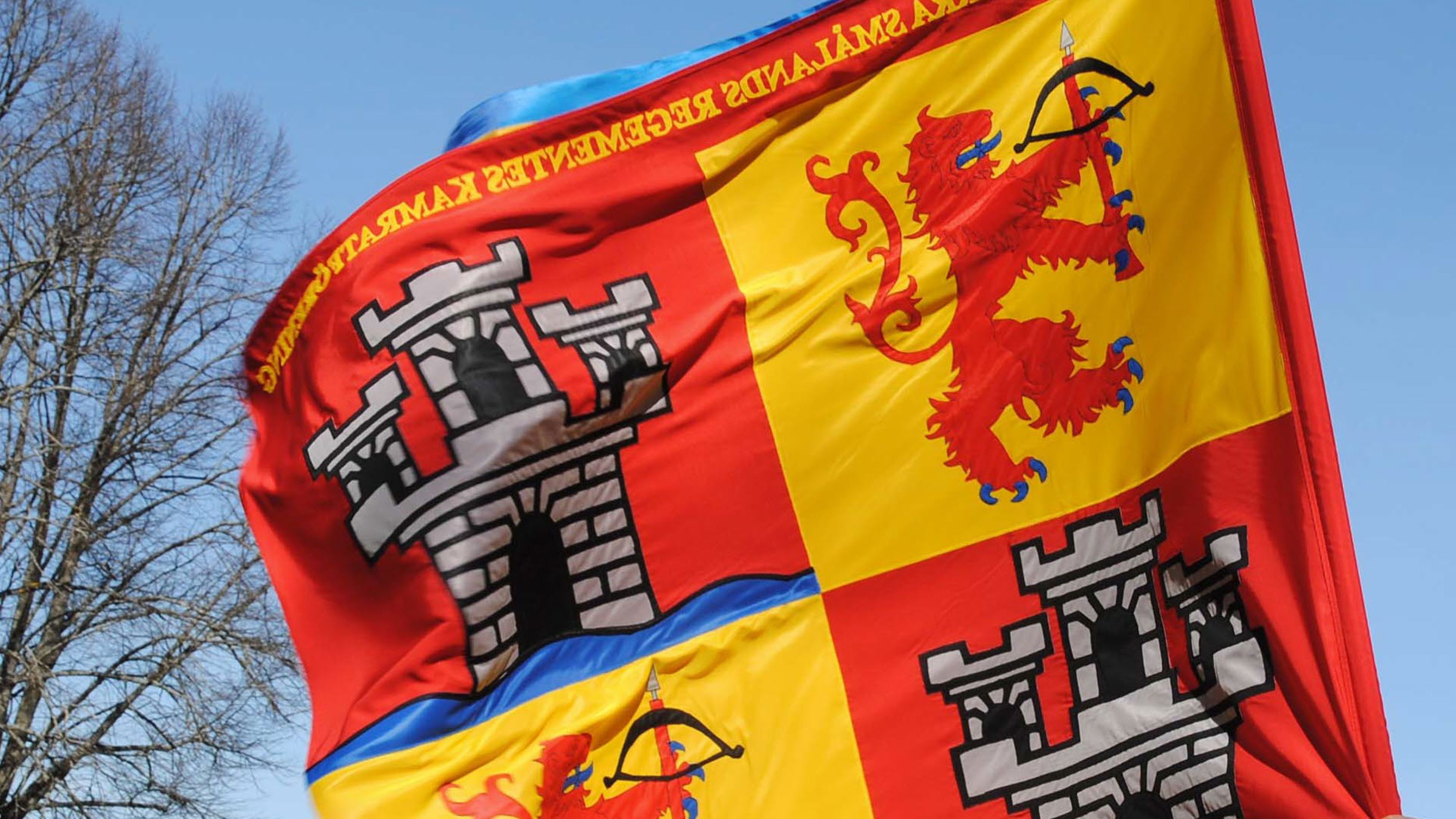 I 12 kamratförning håller fanan.