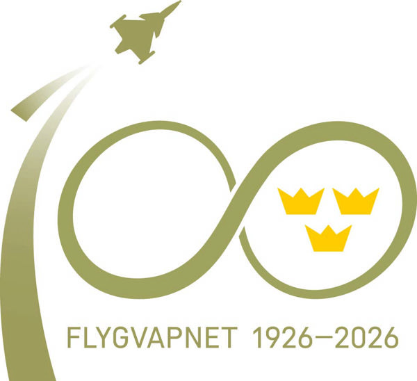 Flygvapnets aktivitetssymbol i guld