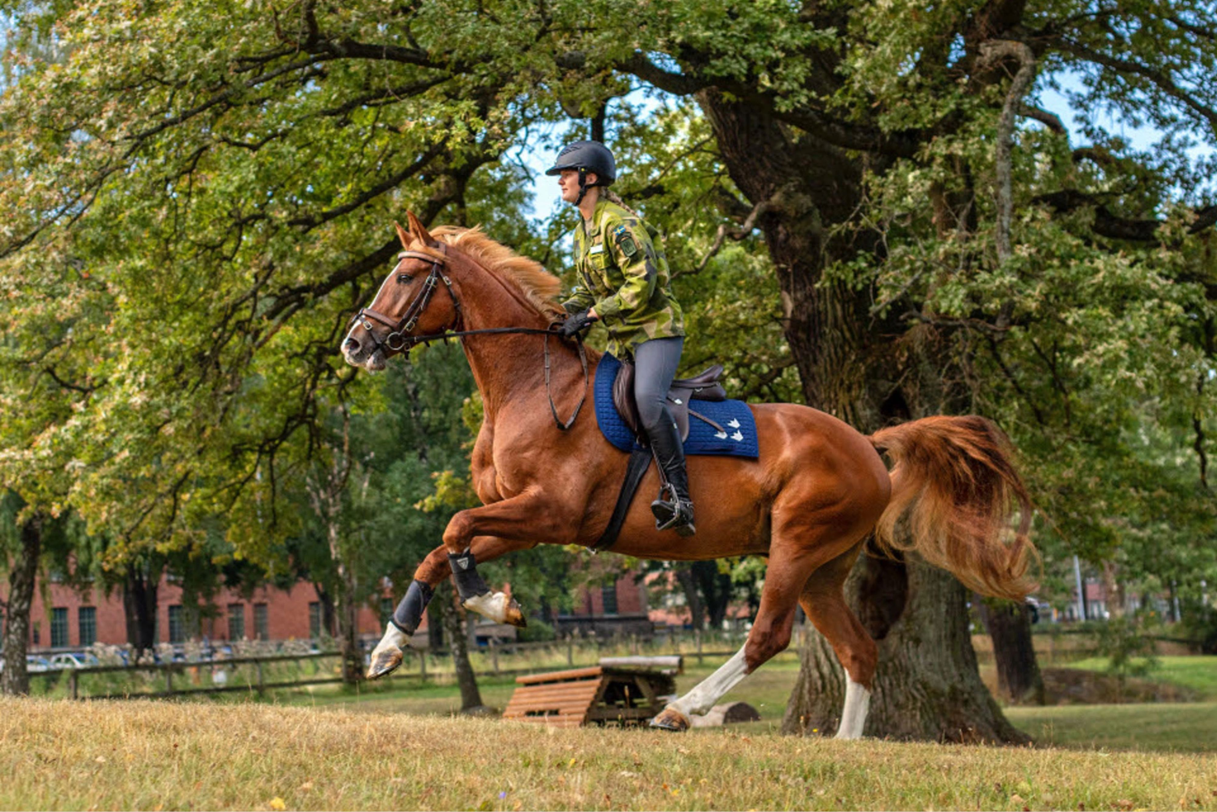 Ridsport i Försvarsmakten.