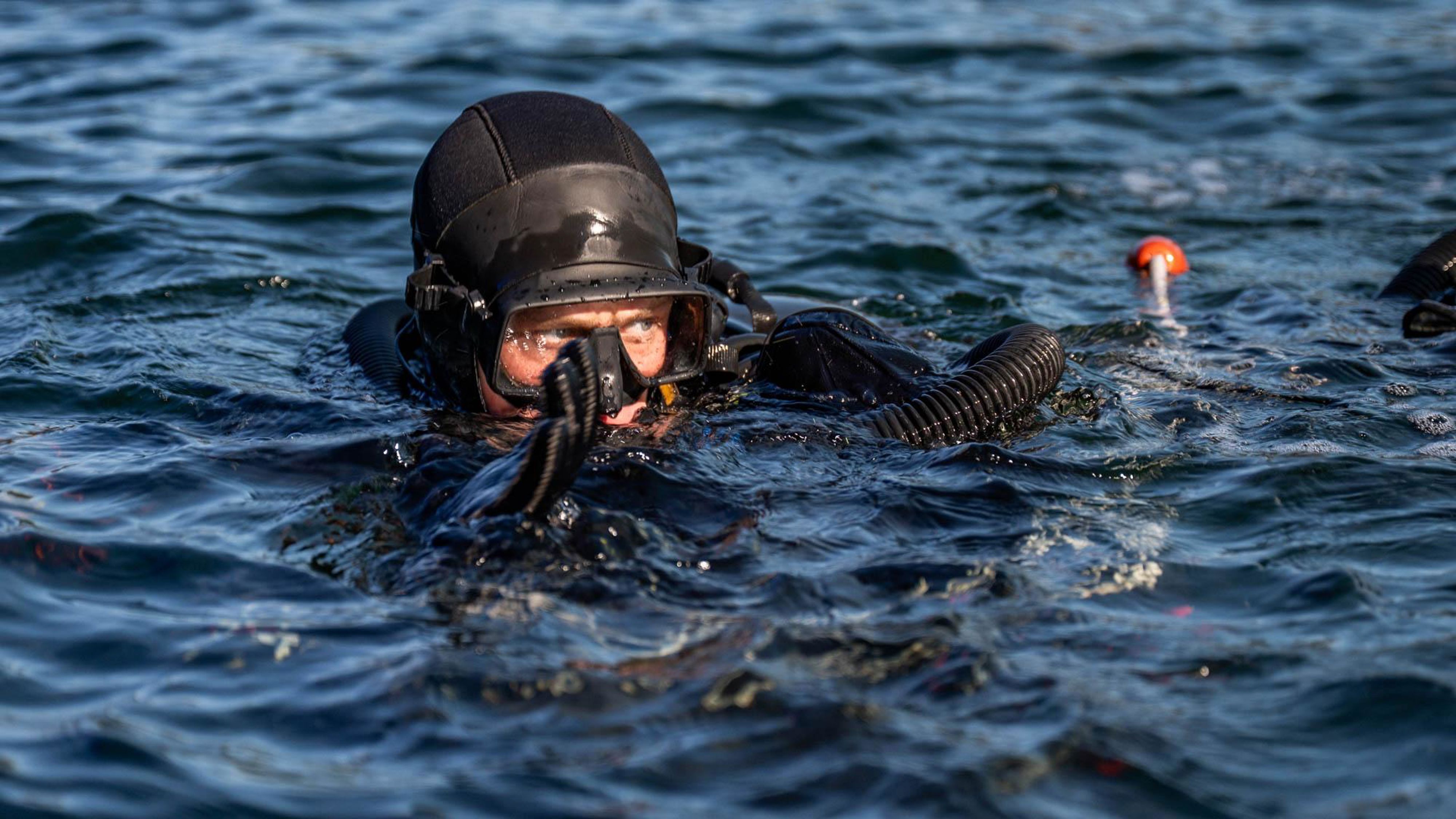 Dykare som tittar upp från vattnet