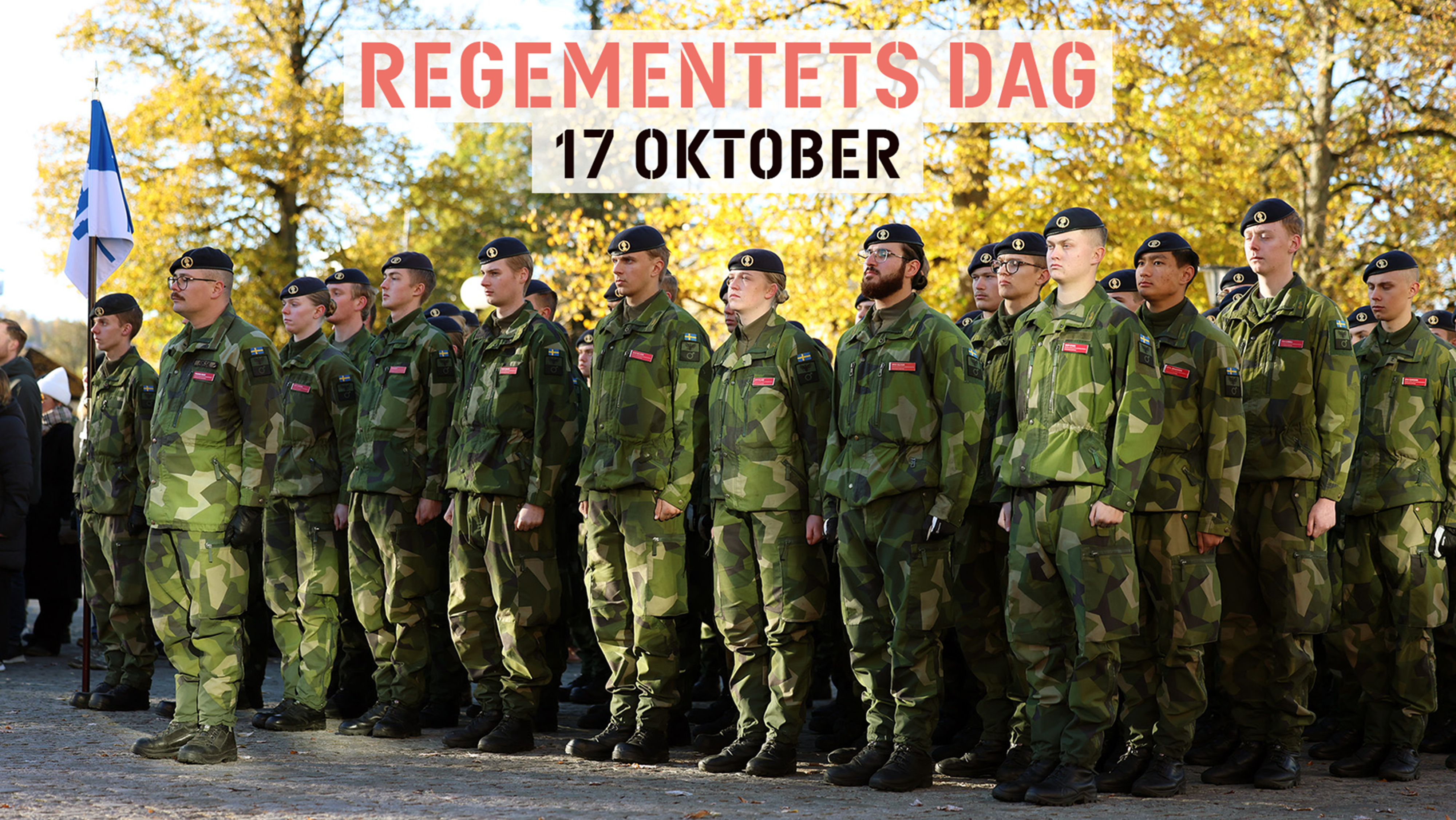 Uppställning ceremoni i samband med Regementets dag