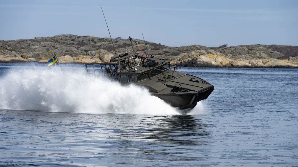 Ett sjörörligt förband som verkar där hav möter land med vapensystem för att bekämpa mål, på, över och under ytan.