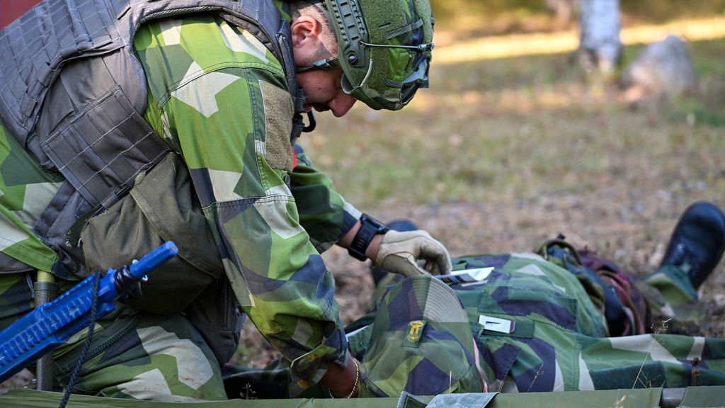 Försvarsmaktens logistik