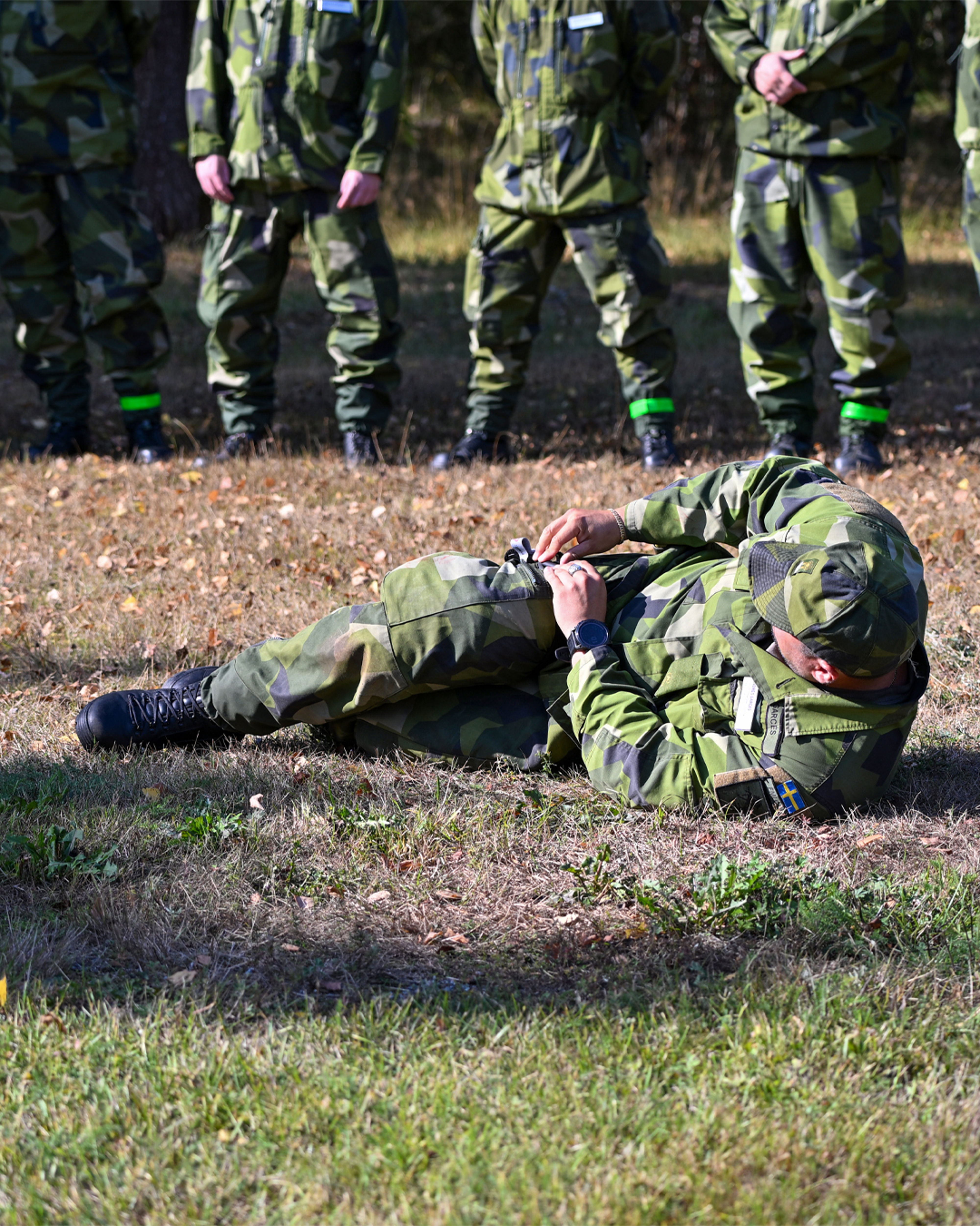 Försvarsmaktens logistik