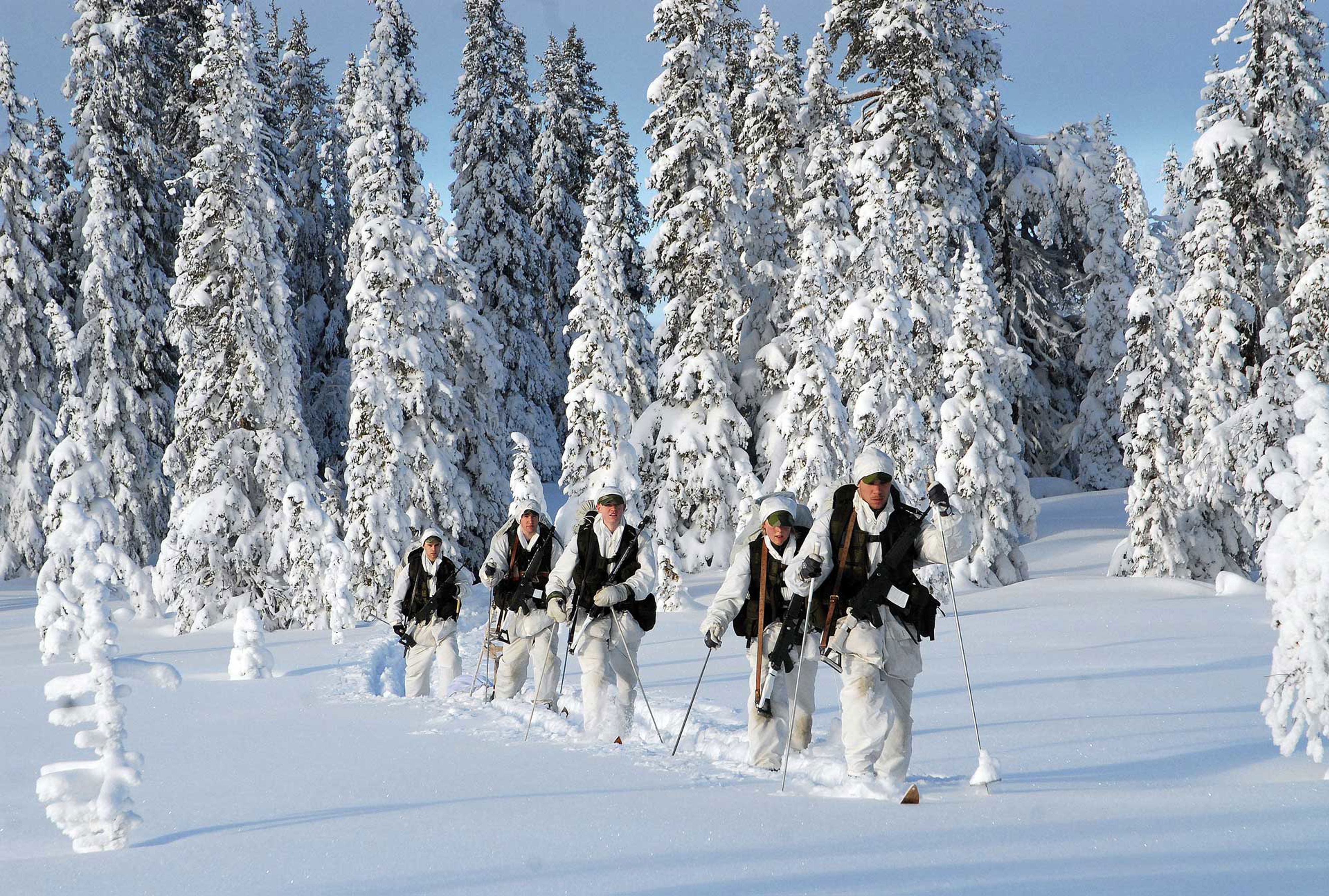 Kadetter ute i skogen på vintern med skidor