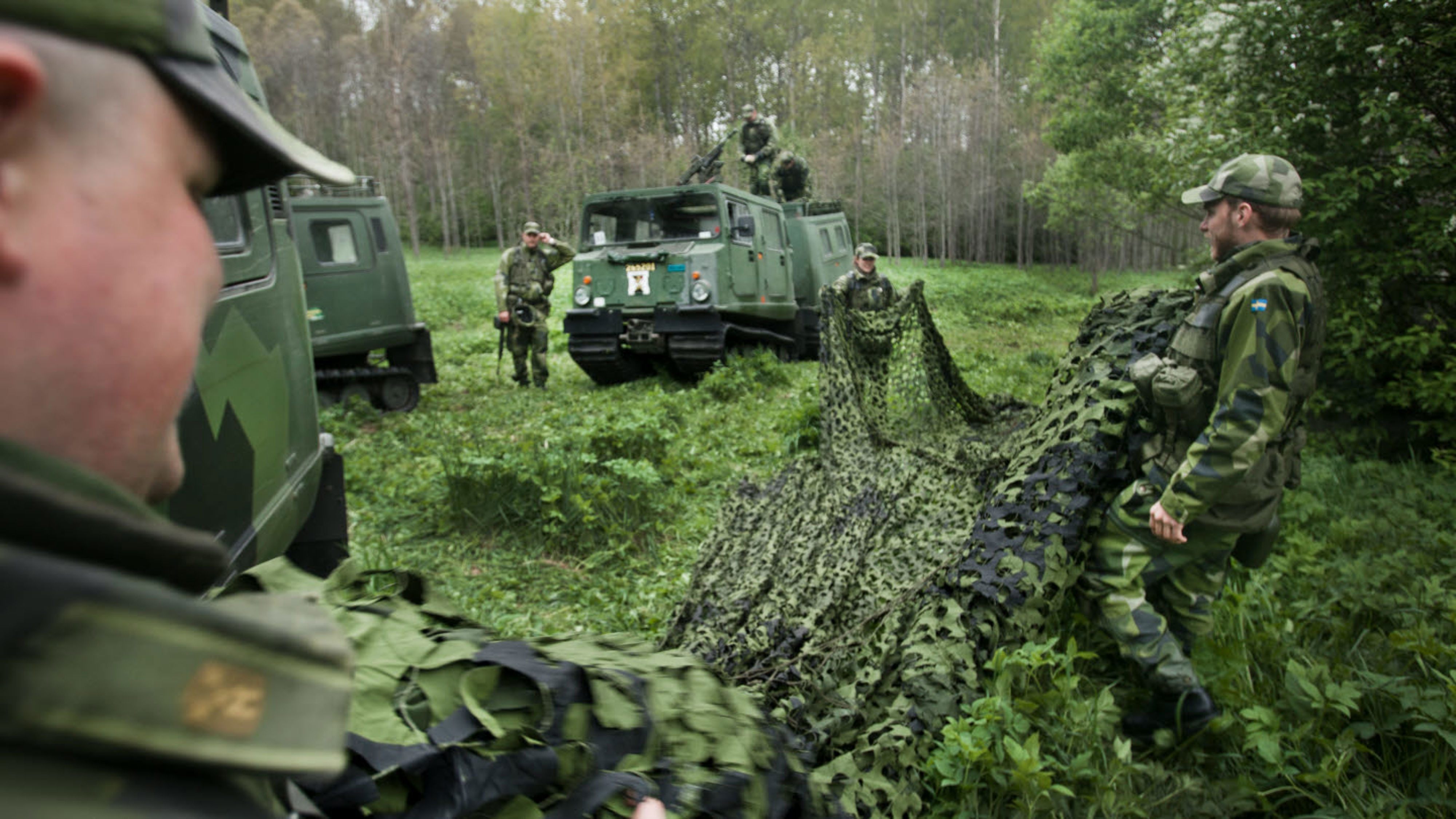 Hemvärnssoldater sätter upp kamouflagenät för att täcka sina bandvagnar