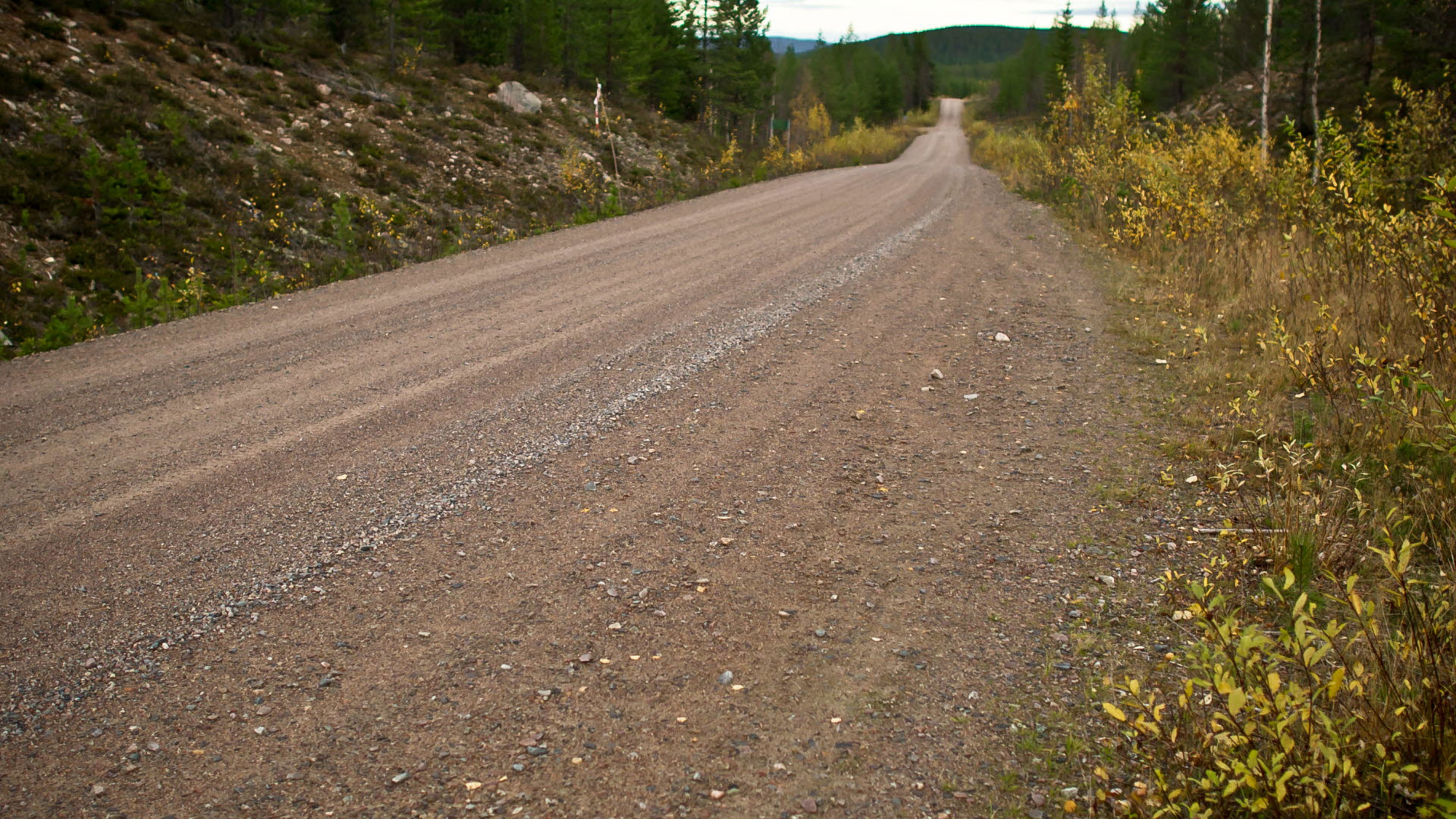 Grusväg i skog