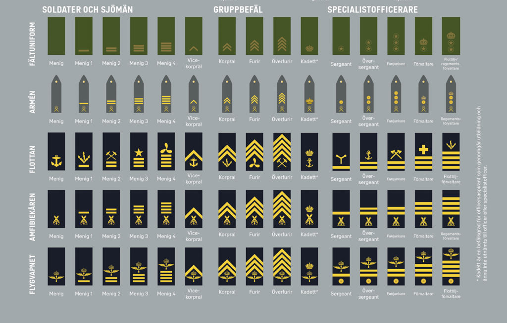 gradbeteckningar för soldater, sjömän, gruppbefäl och specialistofficerare
